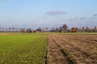 Администрация Комратского района  информирует всех руководителей сельскохозяйственных предприятий района и специалистов сельского хозяйства